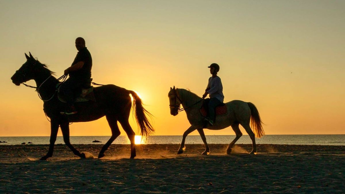 horse riding