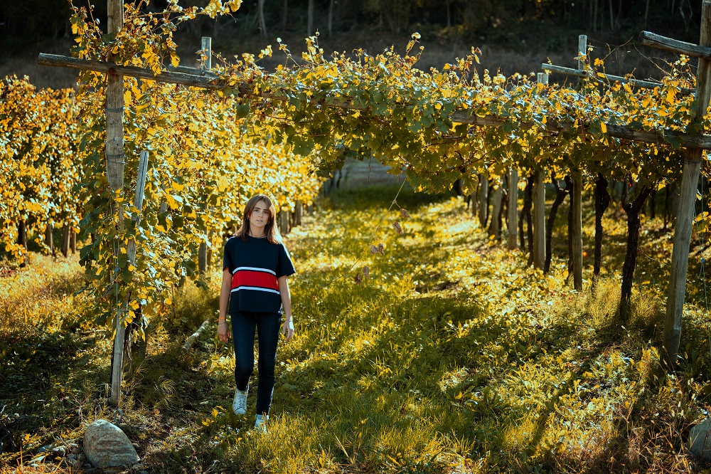 RPergolaErbaluce DSC3433