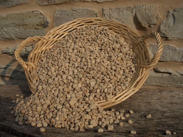cicerchia