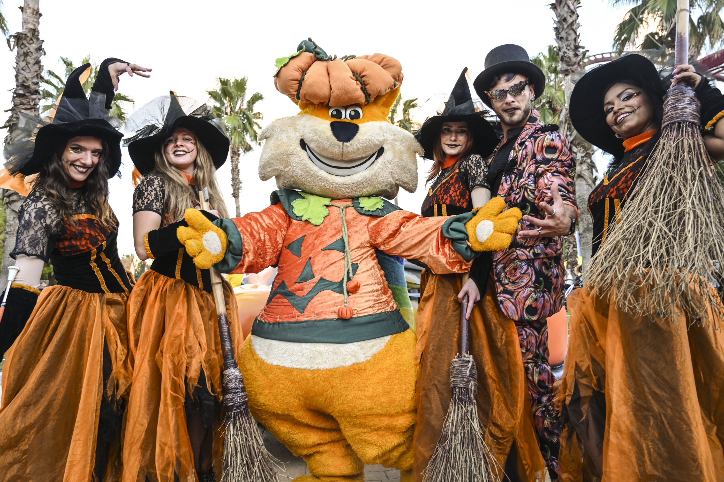 Gattobaleno Halloween