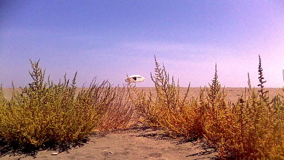 Policoro Oasi WWF 10