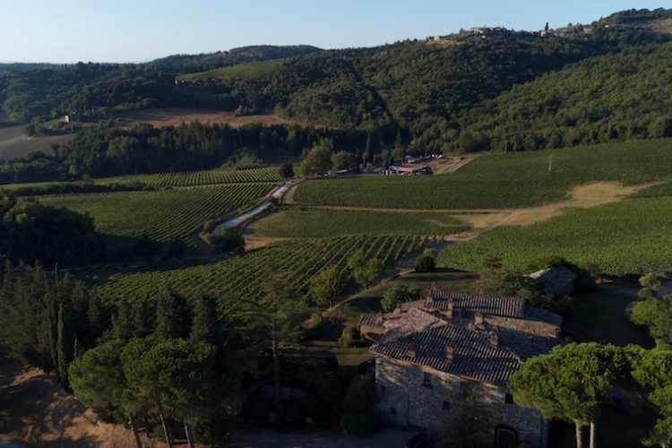 arillo-terrabianca-chianti