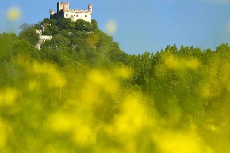 miniCastello-di-Montalto-Dora1-Un-castello-in-fiore