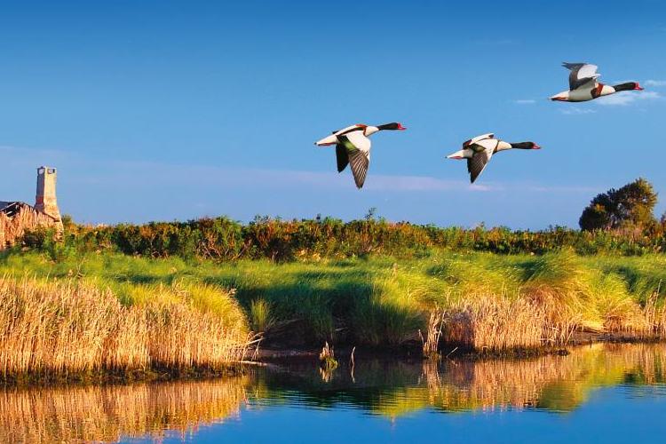 miniParco-Delta-PoScanno-BoaA