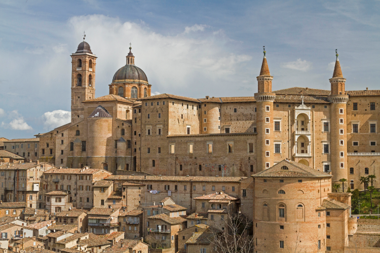 urbino