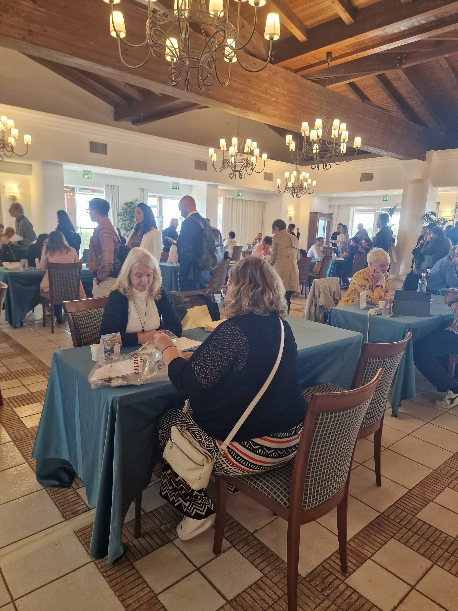 8d363fd2-0ea0-4517-9479-9418e77469eb