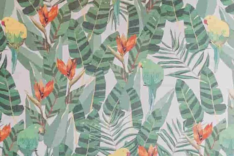 Collini-Rooms--Superior