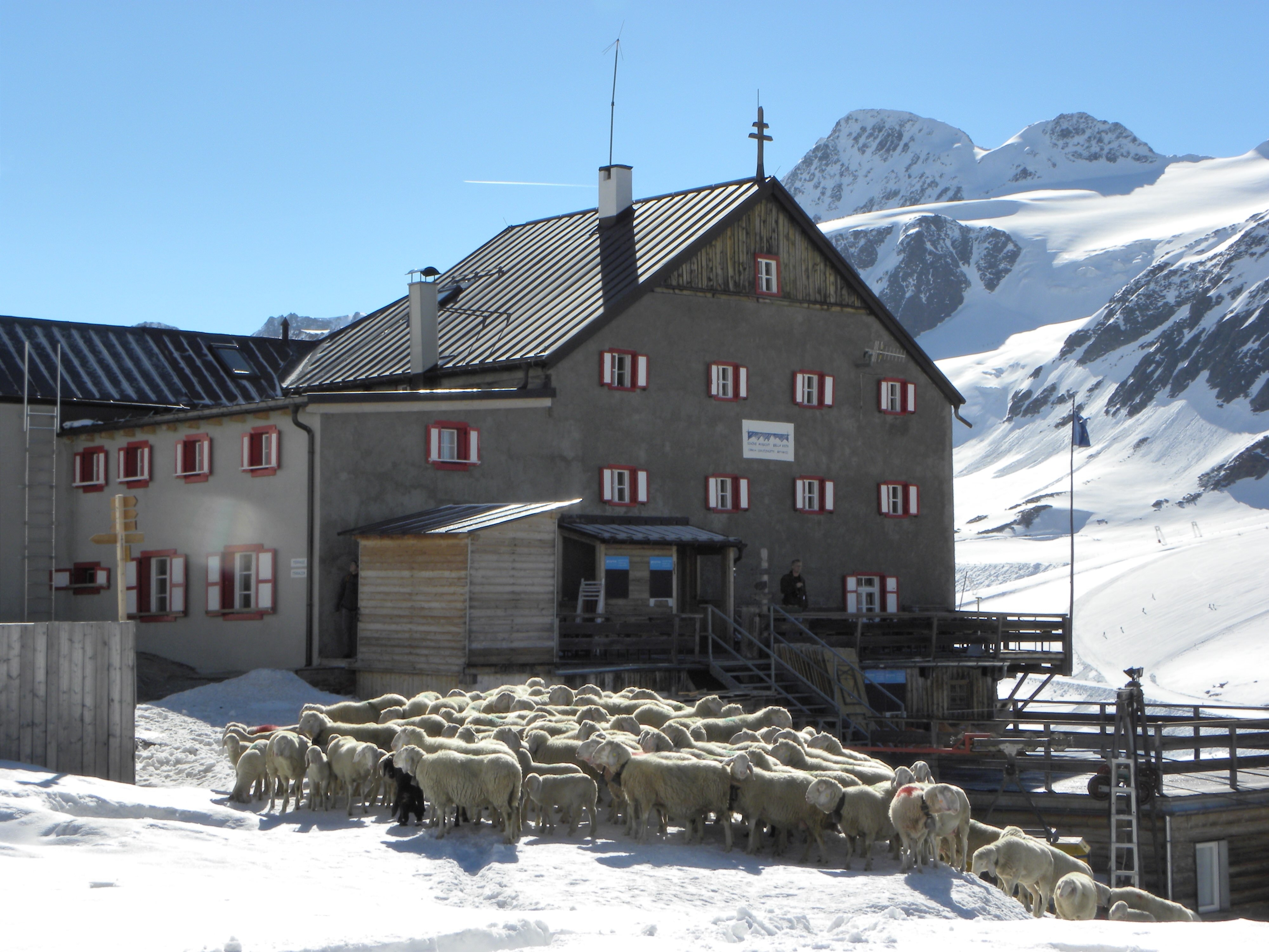 090613schnalstal0122