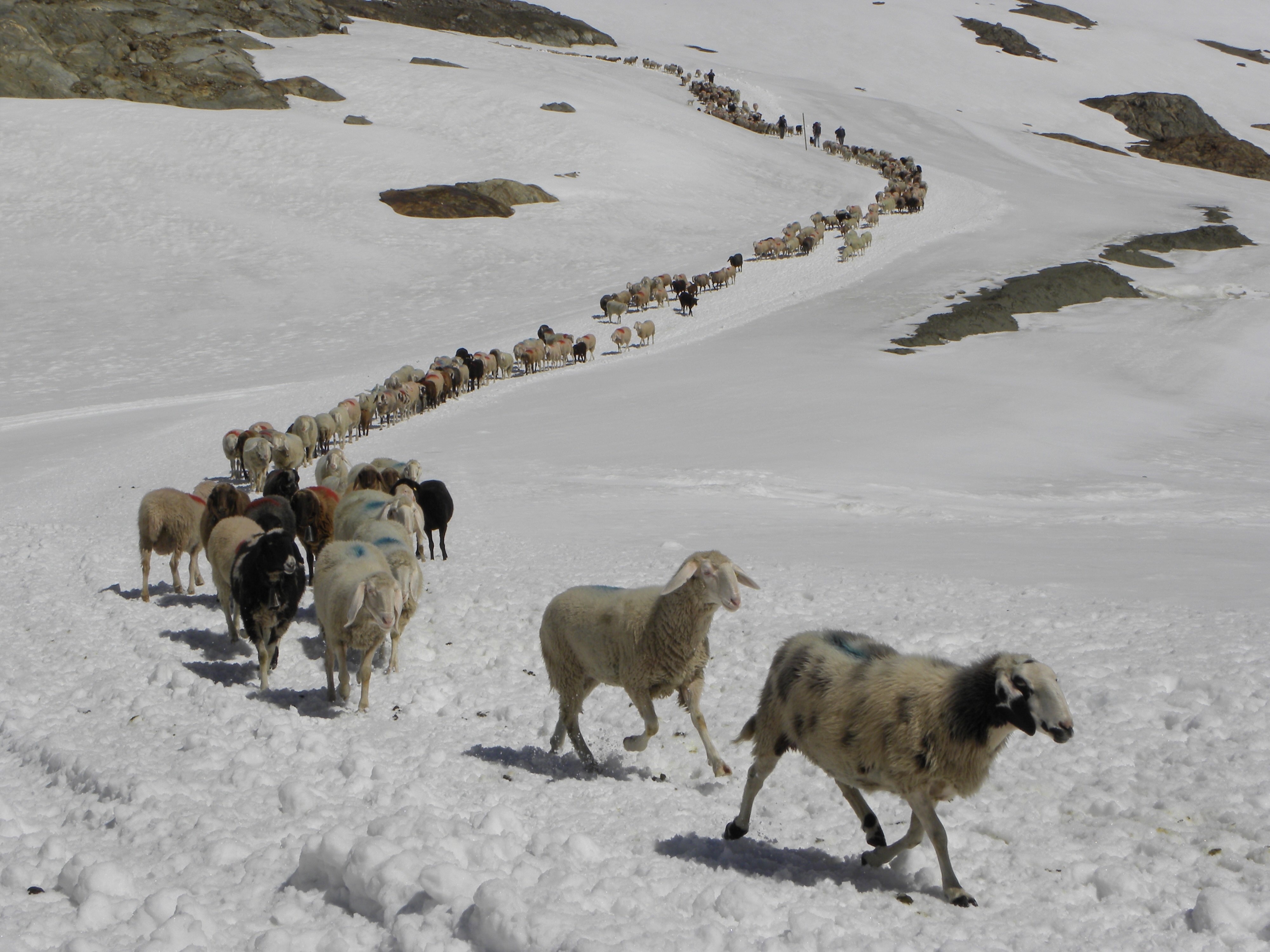 090613schnalstal0187