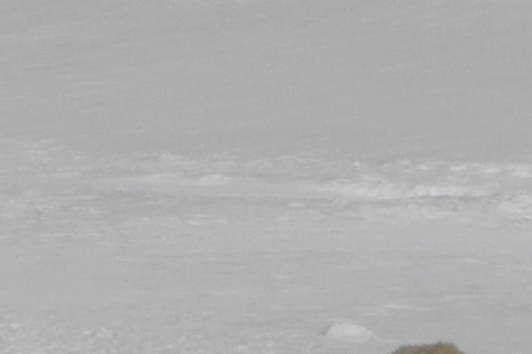 090613schnalstal0187