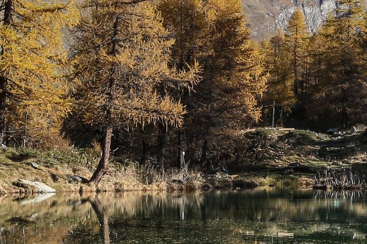 VALLE-DAOSTA-Lago-Blu-e-Cervino-autunno-foto-Enrico-Romanzi-3118