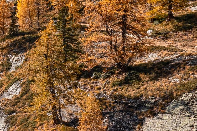 VALLE-DAOSTA-Valle-dei-Principi-Gressoney-Saint-Jean-foto-Daniele-Camisasca-1