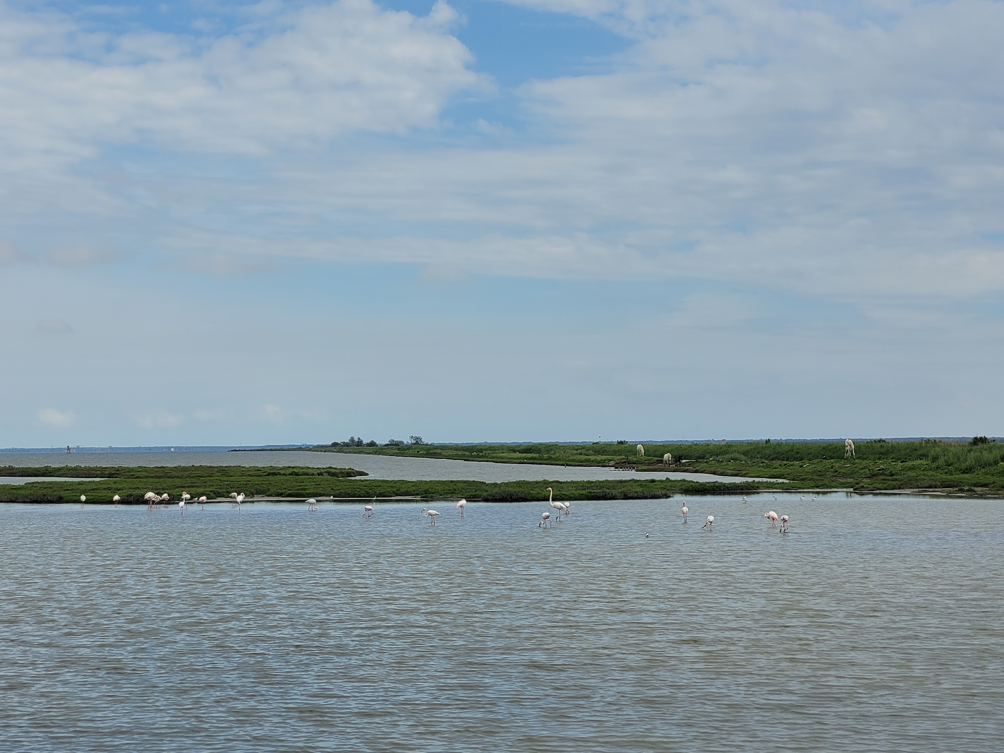 Delta-del-Po---foto-Elisa-6
