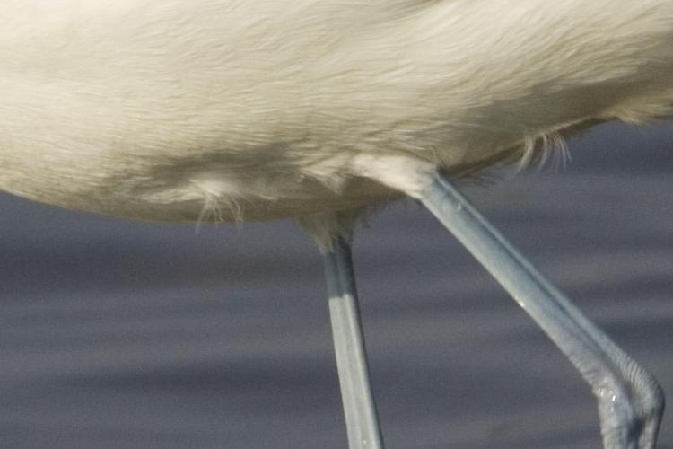 Cervia-e-parco-delta-del-po---foto-uff-stampa-Fucina-1