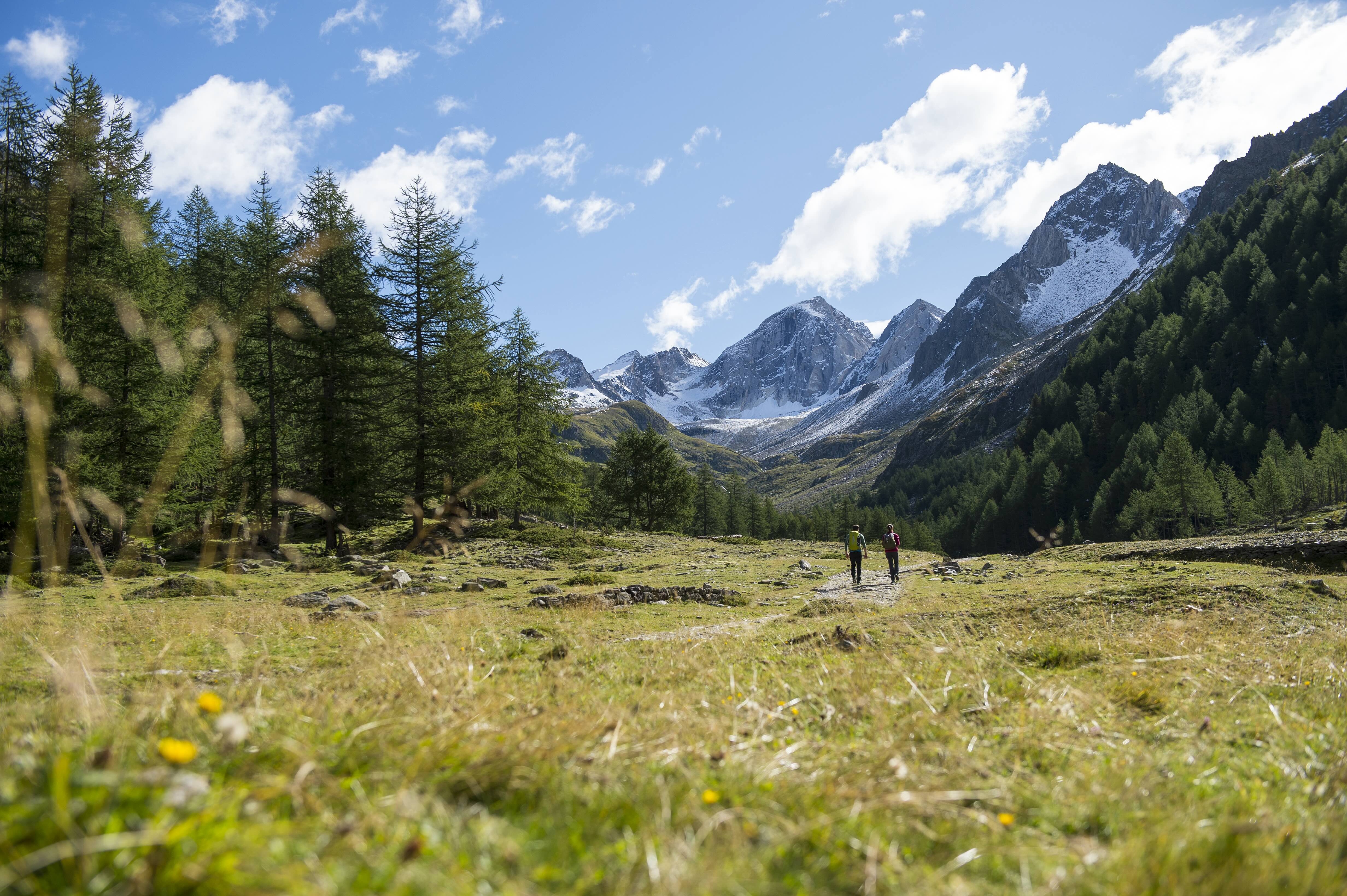 PfossentalThomas-Gruner-35