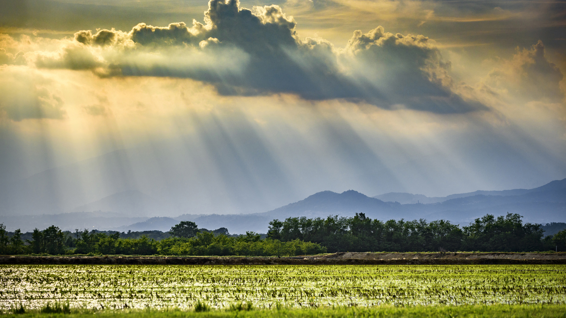 ph credits: Donatello Lorenzo