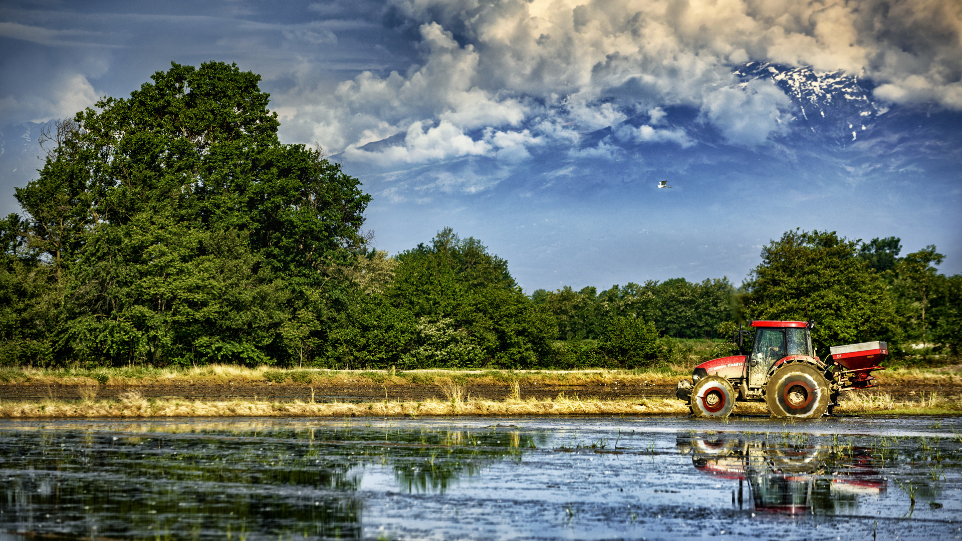 ph credits: Donatello Lorenzo