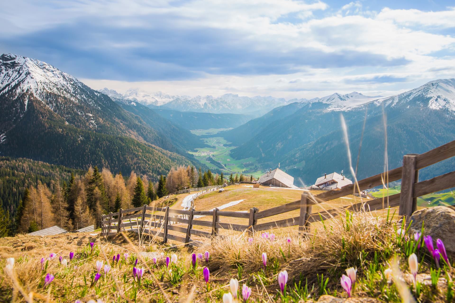 fruehling tv gsieser tal kamilla photography 3