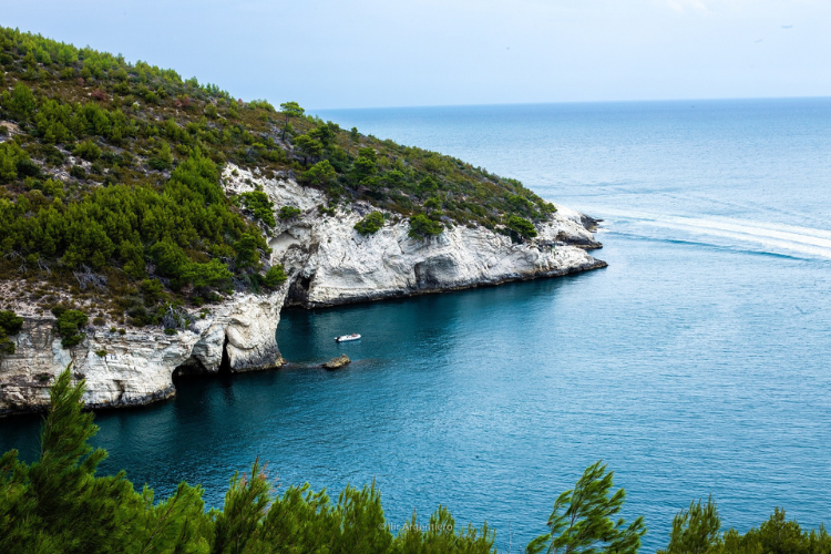 gargano