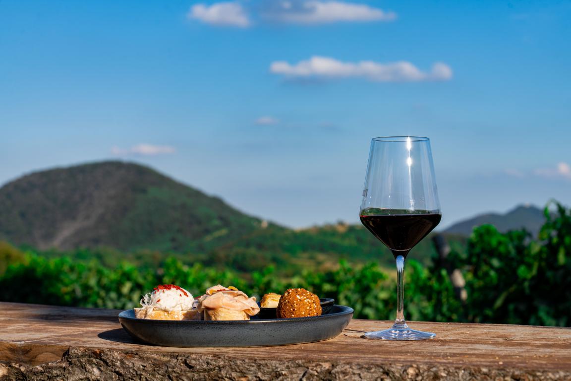 AbanoPadova CVBureau 