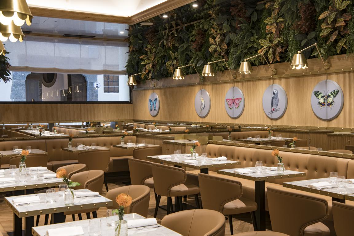 IL Magnifico Restaurant 