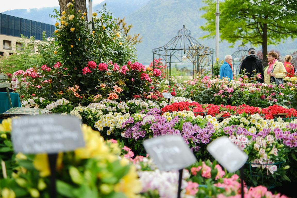 mini Festival MFF23 Merano c Fabio Rubini KV Meran 23