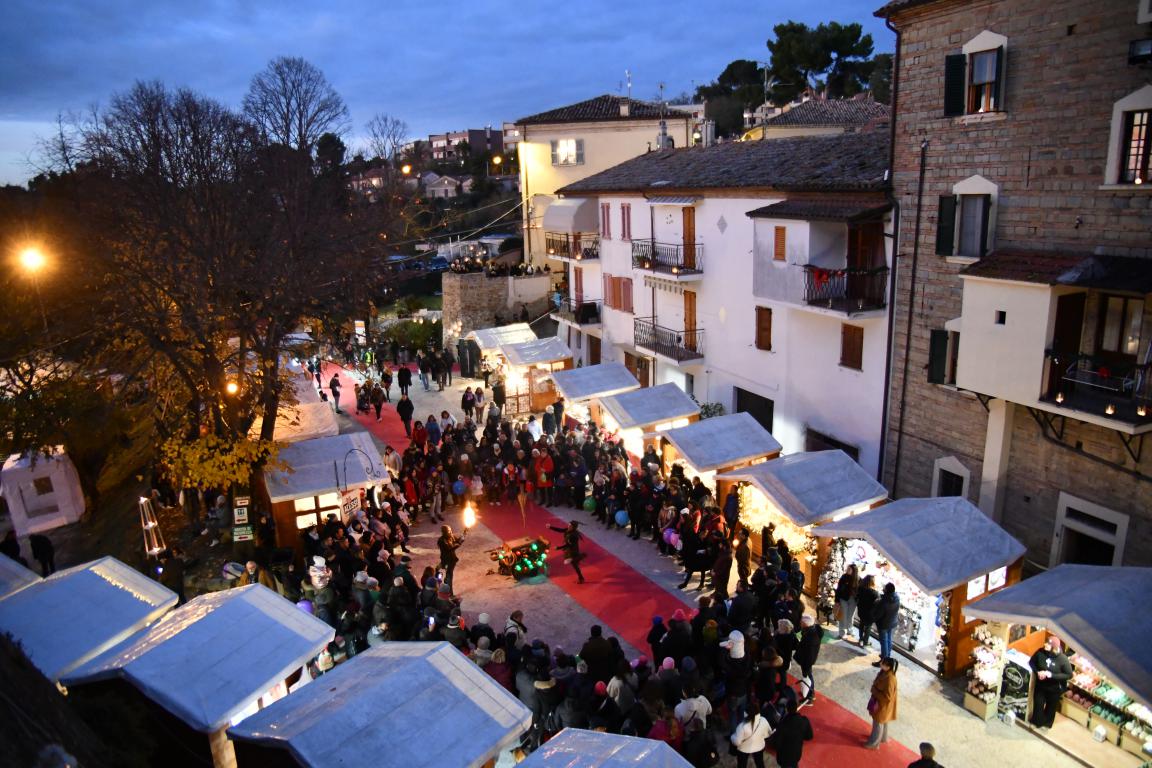 mini Terzo Settore 2024 3