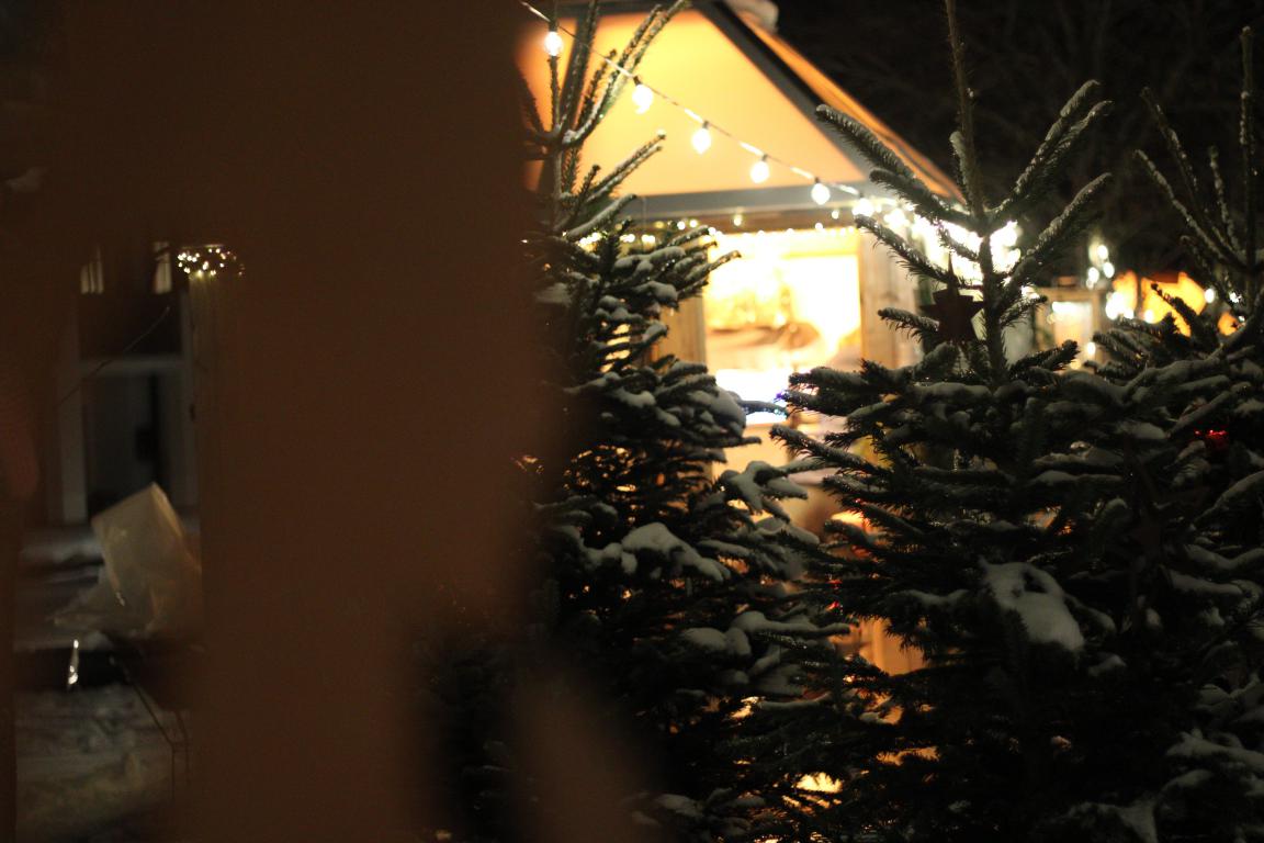 mini Val dEga Mercatino di Natale a Pietralba 11