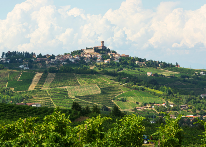 oltrepo pavese 1