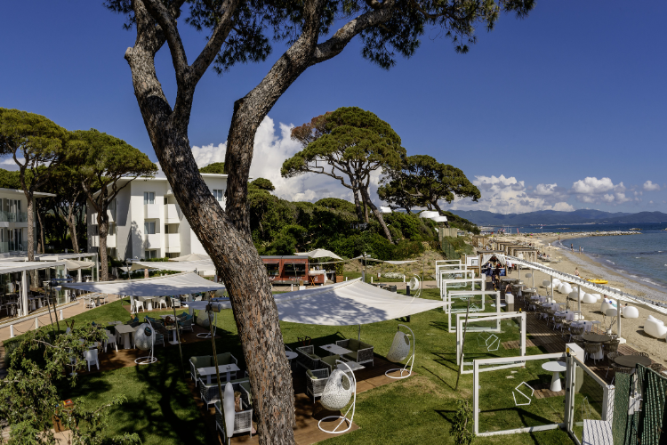 the sense experience