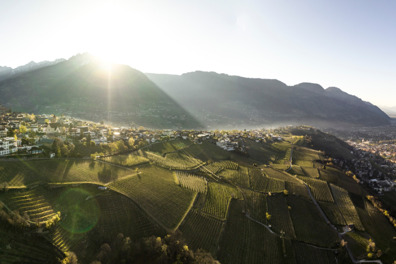 tirol Helmuth Rier