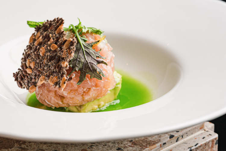 tribuna campitelli marco scichilone 1