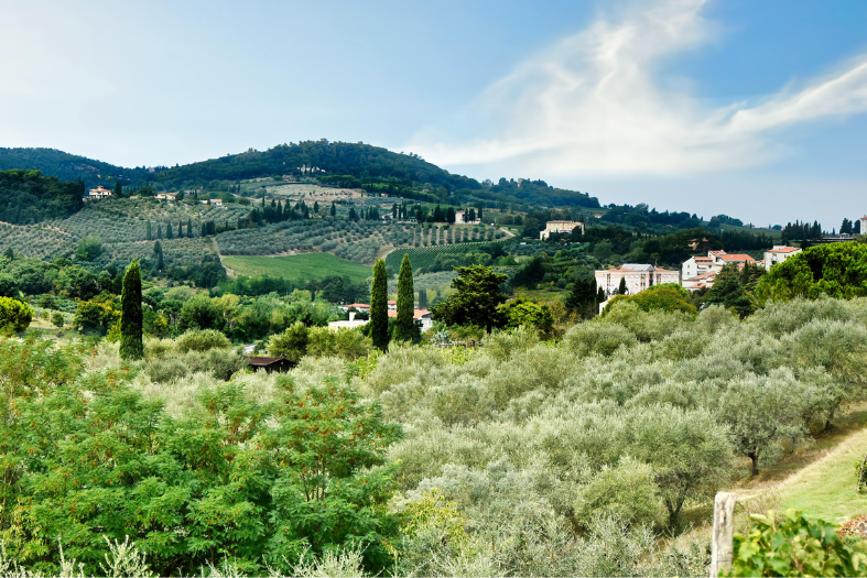 tuscany wedding 3