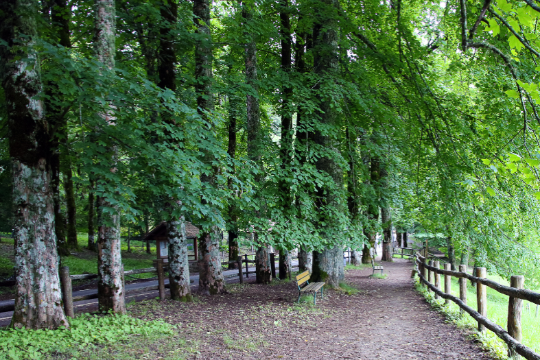 vallombrosa tuscany 1