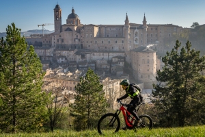 Raffaello Travel Group. Four brands linked by name to Urbino’s great painter Raphael  