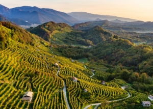 Conegliano Valdobbiadene Prosecco Unesco Heritage