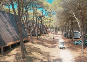 Club del Sole launches Re-Tree-T tree houses in the Po delta