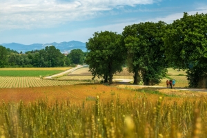 Religious tourism: a new credential for pilgrims on the Cammino di Francesco
