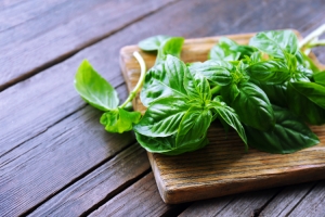 Food Ambassador By Liguria. A project promoting the region’s famous and world-class basil, oil and wines