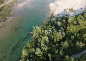 Tagliamento river - Morsano