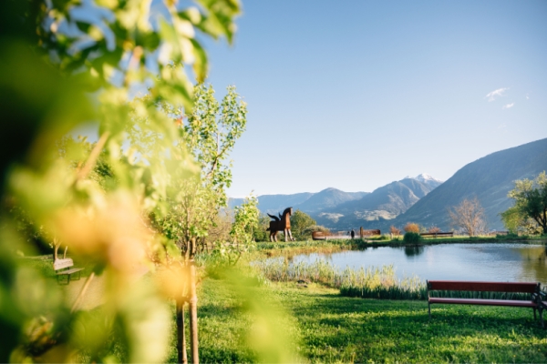 Tirolo in Spring: nature, sport and events and apple trees in bloom