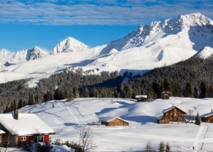 The Alpine Climatic Ski Areas: sustainability for families