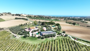 Marche’s 60th International White Truffle Fair returns to Acqualagna