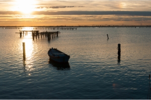 Rovigo turns to digital to promote its monuments and attractions