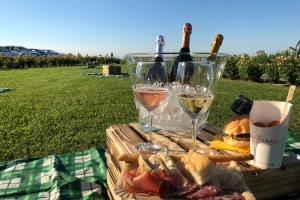 Exploring culture and nature, food and wines in Emilia, Italy’s Land of the Slow Mix