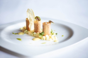 Gardena Grödnerhof Hotel &amp; Spa. The first South Tyrol hotel to get 5 stars in Forbes Travel Guide 2022 