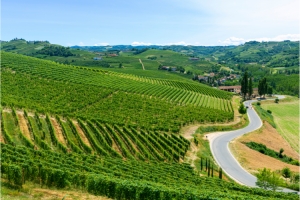 The Romantic Road of Langhe and Roero in Piedmont is a mosaic of infinite landscapes