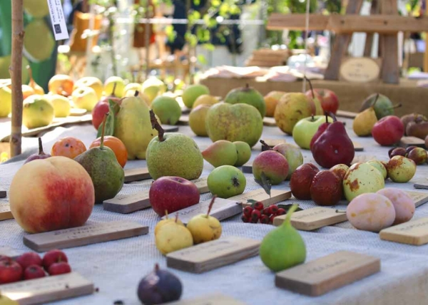 I Frutti del Castello: fruits, flowers and more in Emilia Romagna