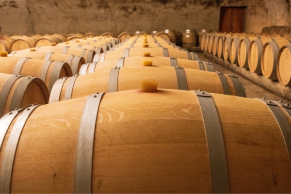 Frascati: a volcanic wine experience near Rome