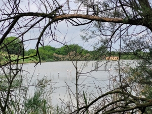 Emilia-Romagna's wetlands Po Delta Park: nature in the wild